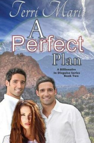 Cover of A Perfect Plan