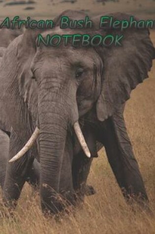 Cover of African Bush Elephant NOTEBOOK