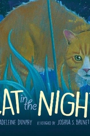 Cover of Cat in the Night