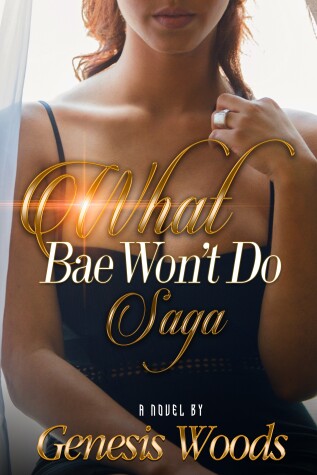 Book cover for What Bae Won't Do Saga