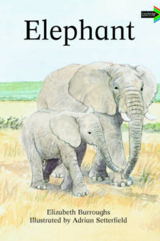 Cover of The Lion and the Mouse South African edition