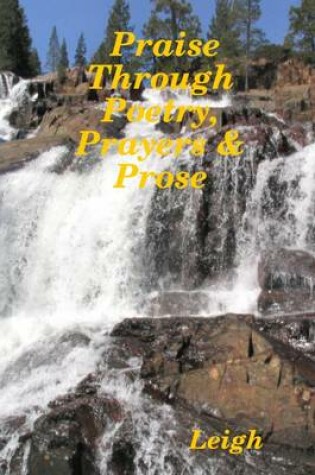 Cover of Praise Through Poetry, Prayers & Prose