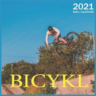 Book cover for Bicykl