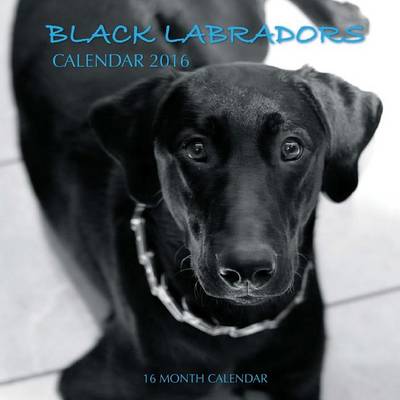 Book cover for Black Labradors Calendar 2016