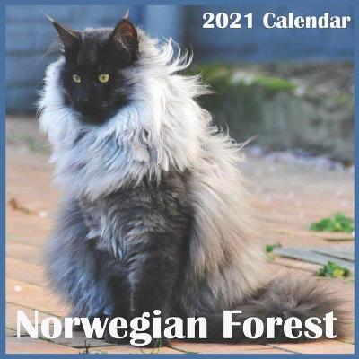 Book cover for Norwegian Forest