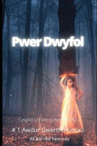 Cover of Pwer Dwyfol
