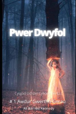 Book cover for Pwer Dwyfol