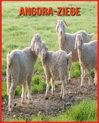 Book cover for Angora-Ziege