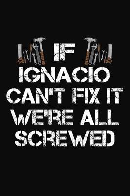 Book cover for If Ignacio Can't Fix It We're All Screwed