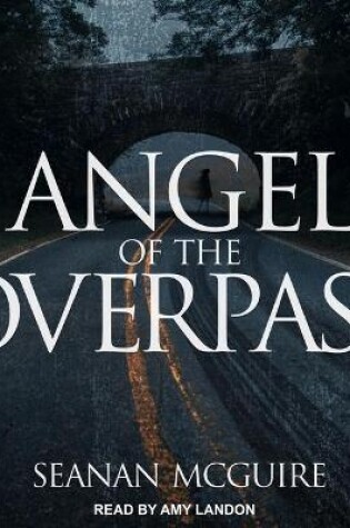 Cover of Angel of the Overpass
