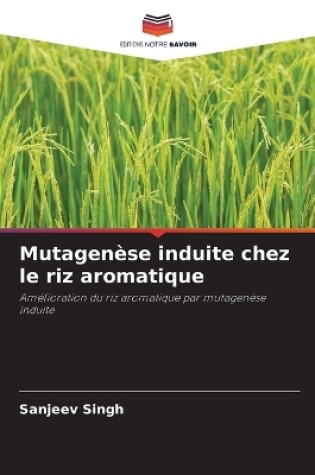 Cover of Mutagenèse induite chez le riz aromatique