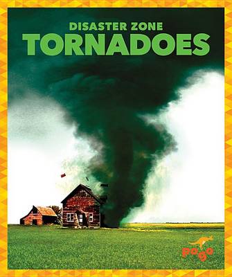 Book cover for Tornadoes