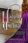 Book cover for Haunted By Amethyst