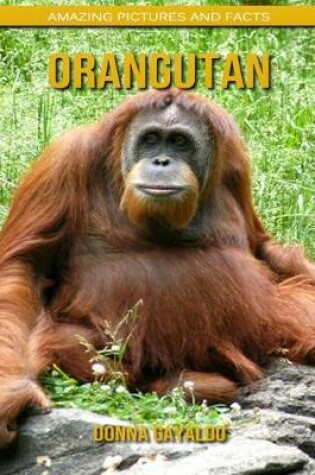 Cover of Orangutan