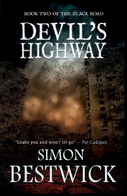 Book cover for Devil's Highway