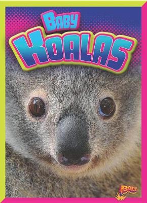 Cover of Baby Koalas