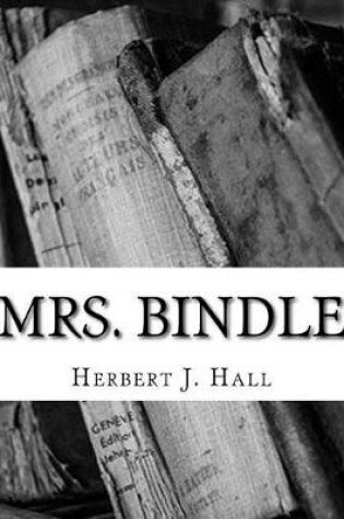 Cover of Mrs. Bindle