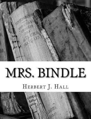 Book cover for Mrs. Bindle