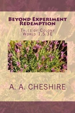 Cover of Beyond Experiment Redemption