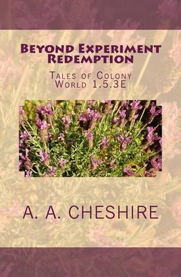 Book cover for Beyond Experiment Redemption