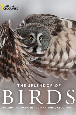 Cover of The Splendor of Birds