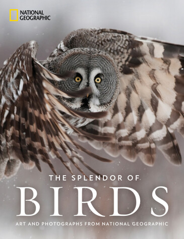 Book cover for The Splendor of Birds