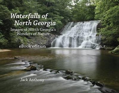 Cover of Waterfalls of North Georgia