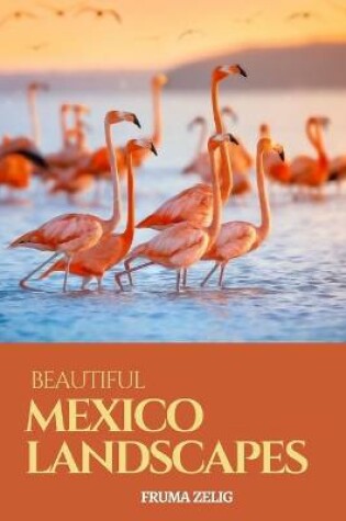 Cover of Beautiful Mexico Landscapes