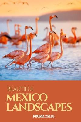 Book cover for Beautiful Mexico Landscapes