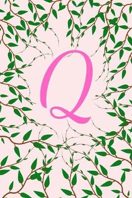 Book cover for Q