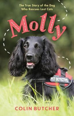 Book cover for Molly: The True Story of the Dog Who Rescues Lost Cats