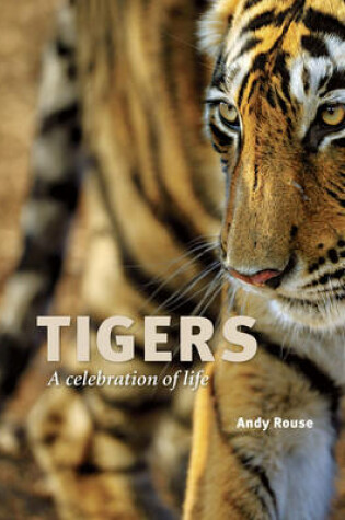 Cover of Tigers