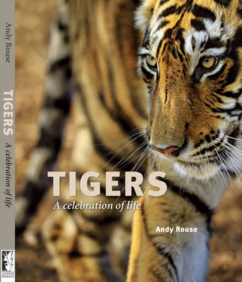 Book cover for Tigers