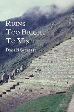 Cover of Ruins Too Bright To Visit