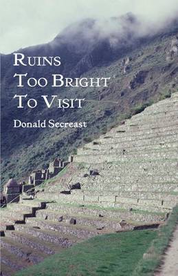 Book cover for Ruins Too Bright To Visit