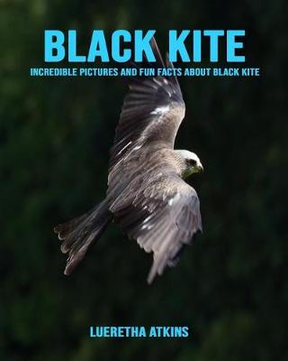 Book cover for Black Kite