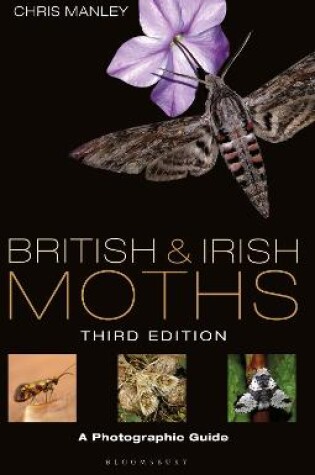 Cover of British and Irish Moths: Third Edition