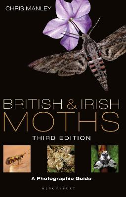 Book cover for British and Irish Moths: Third Edition