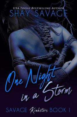 Book cover for One Night in a Storm