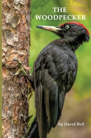 Cover of The Woodpecker