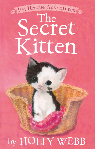 Book cover for The Secret Kitten