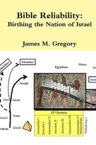 Cover of Bible Reliability: Birthing the Nation of Israel