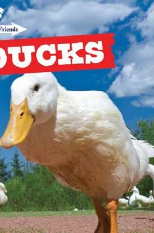 Cover of Ducks