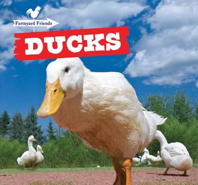 Cover of Ducks