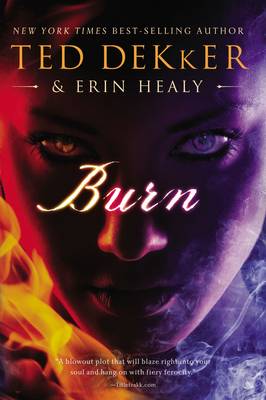 Book cover for Burn