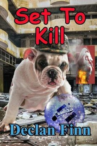 Cover of Set to Kill