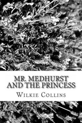Cover of Mr. Medhurst and the Princess