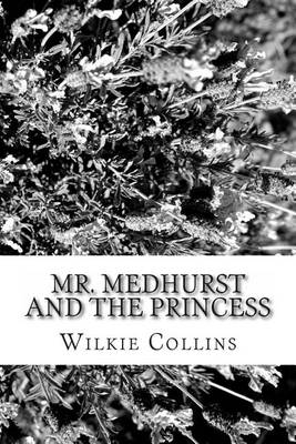 Book cover for Mr. Medhurst and the Princess