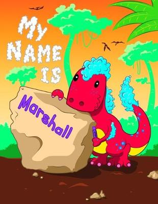 Book cover for My Name is Marshall