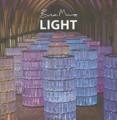 Book cover for Light